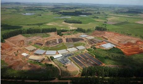 Vida Desenvolvimento Ecológico